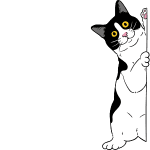 neko-design-lab-contact-animation
